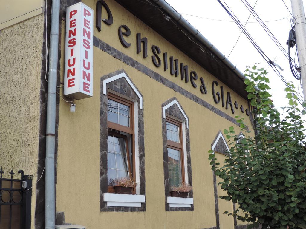 Pensiunea Gia Сигишоара Экстерьер фото